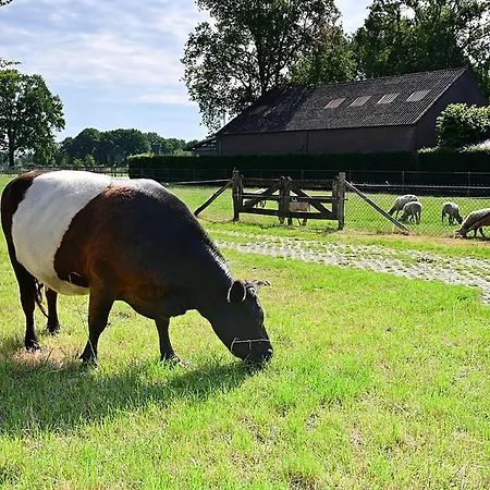 De Lakenvelder Bed & Breakfast