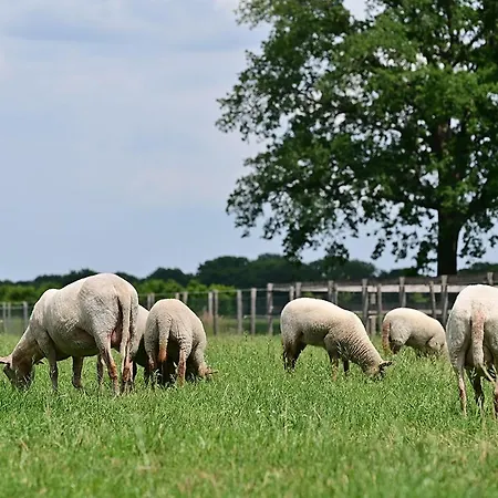De Lakenvelder Bed & Breakfast *
