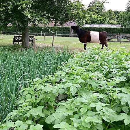 De Lakenvelder Eersel