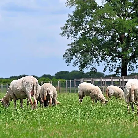 De Lakenvelder 4* Eersel
