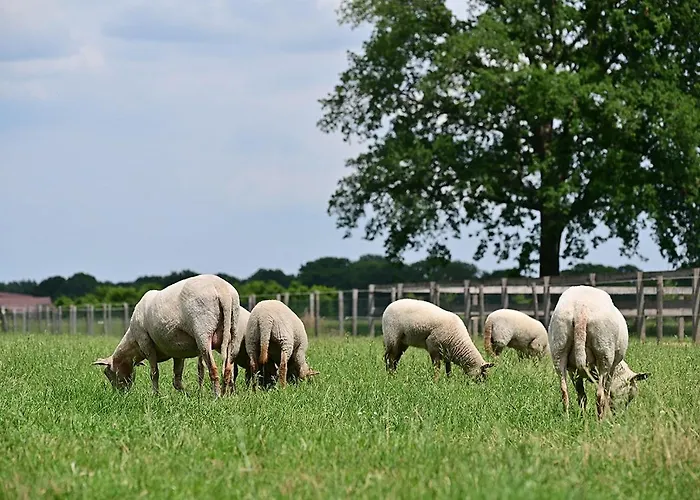 De Lakenvelder Bed & Breakfast 4*