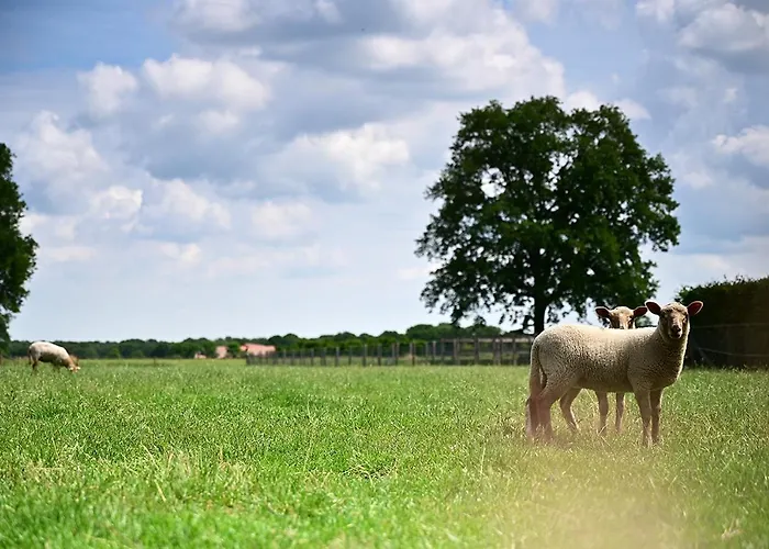 Bed & Breakfast De Lakenvelder Eersel