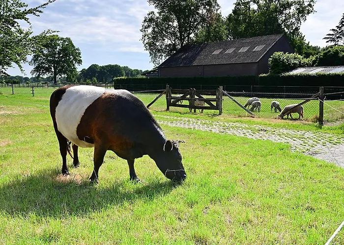 De Lakenvelder Bed & Breakfast