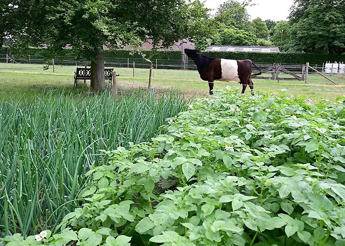 De Lakenvelder Eersel